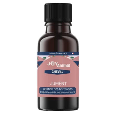 Cheval jument
